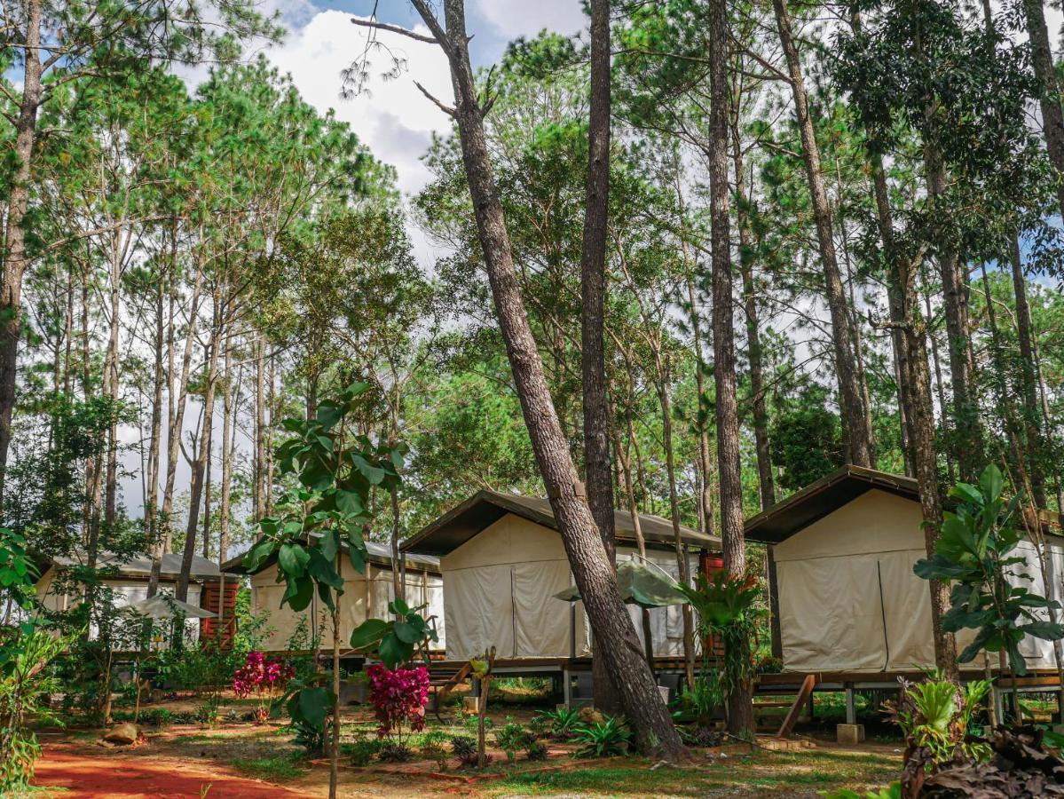 vKirirom Pine Resort Chambak Dangkom Eksteriør bilde