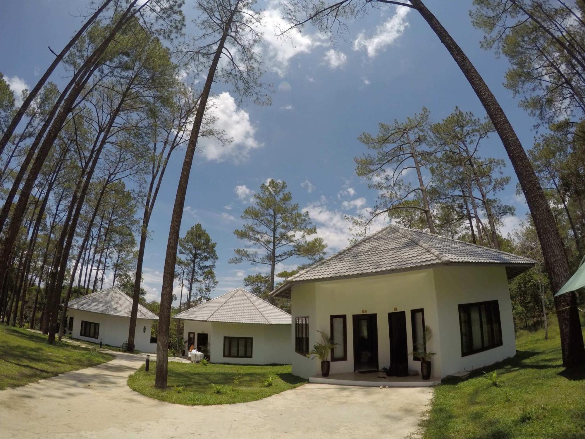 vKirirom Pine Resort Chambak Dangkom Rom bilde